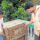 Image for article titled Indian neighborhood terrorized by cat-dog-mongoose cryptid, the Bhootbilli